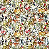 Safari 677