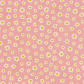 Daisy roze