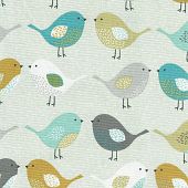 Birds oker