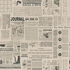 Newspaper