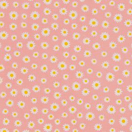 Daisy roze