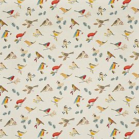 Birds 513