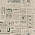 Newspaper