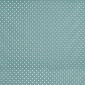 Polka Dot 721
