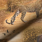 Big five