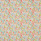 Blossom 683
