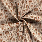 Animals Brown