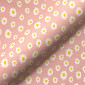 Daisy roze