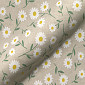 Daisy field